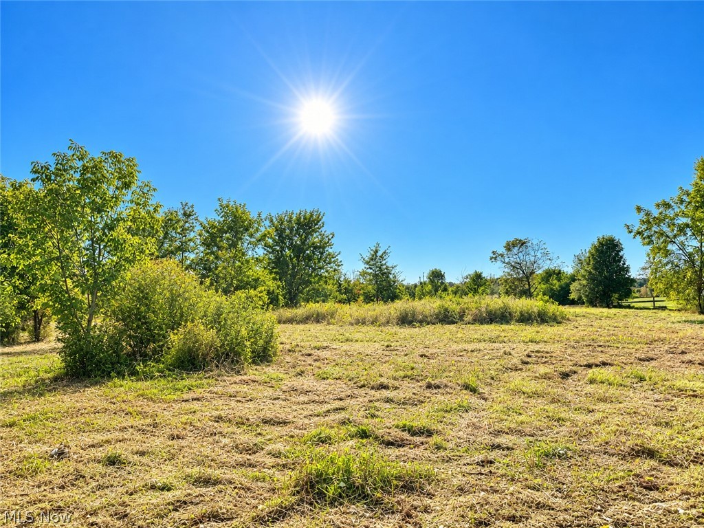 Lot #2 W Smith Road Medina OH 44256