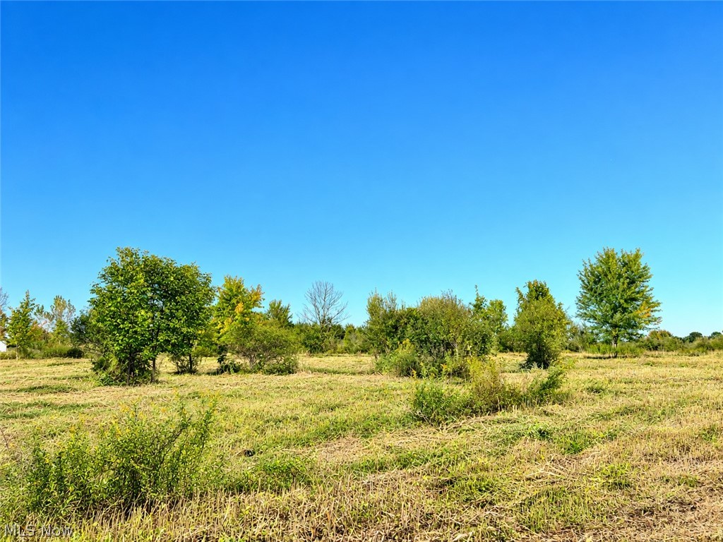 Lot #2 W Smith Road Medina OH 44256