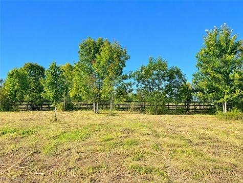 Lot #2 W Smith Road Medina OH 44256
