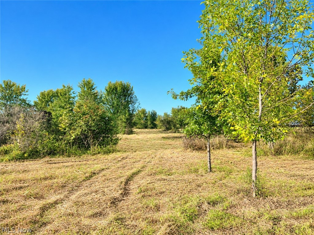 Lot #2 W Smith Road Medina OH 44256