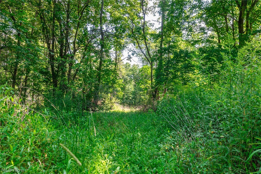 Lincoln Street Salineville OH 43945
