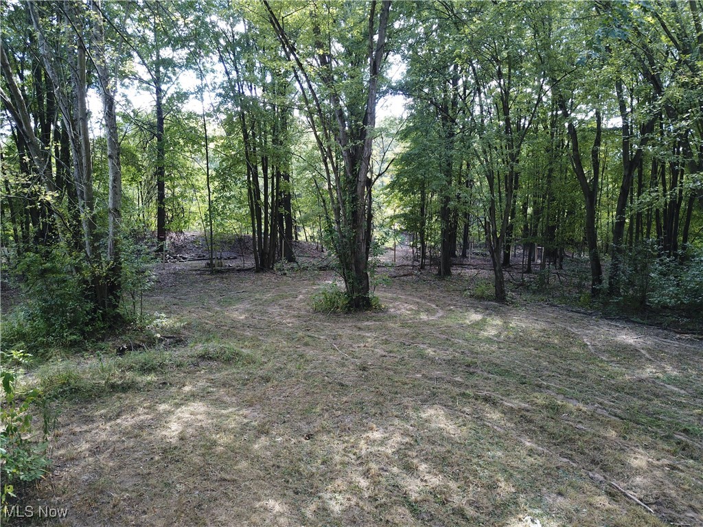 15789 Coalbank Street NE Alliance OH 44601