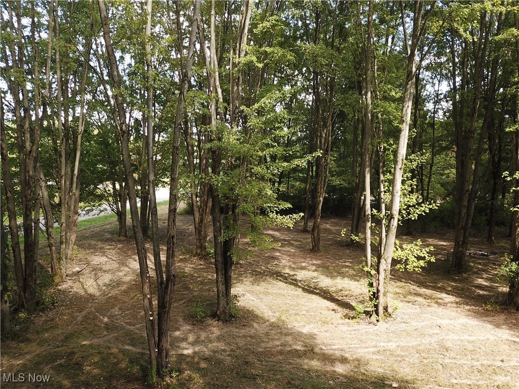 15789 Coalbank Street NE Alliance OH 44601