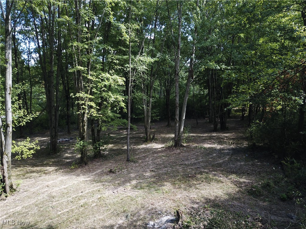 15789 Coalbank Street NE Alliance OH 44601