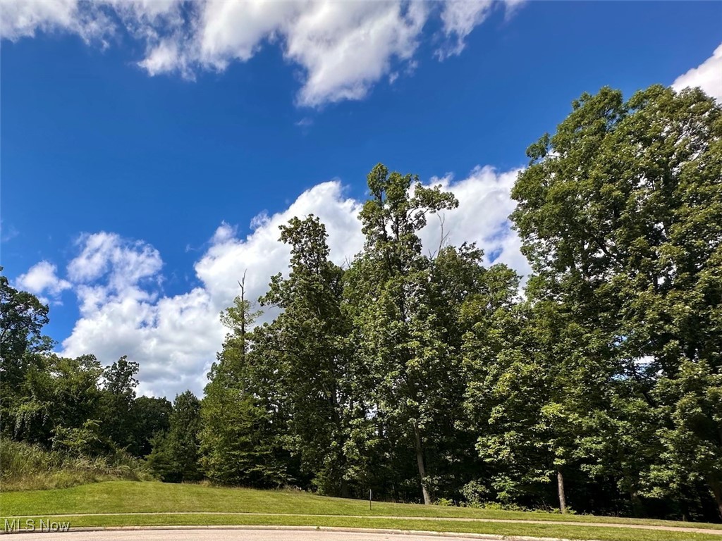 Hidden Canyon Drive Brecksville OH 44141