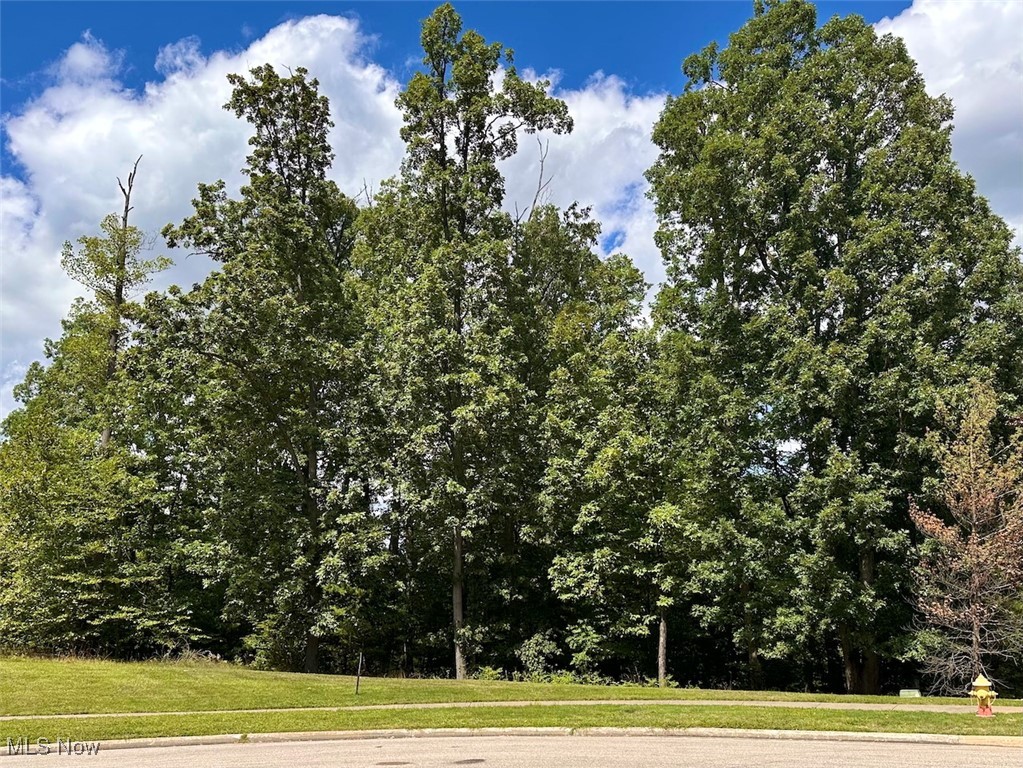 Hidden Canyon Drive Brecksville OH 44141