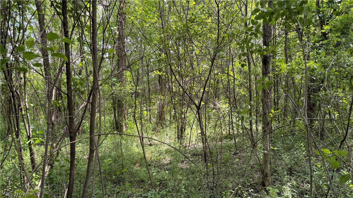 Leiby Osborne Road Southington OH 44470