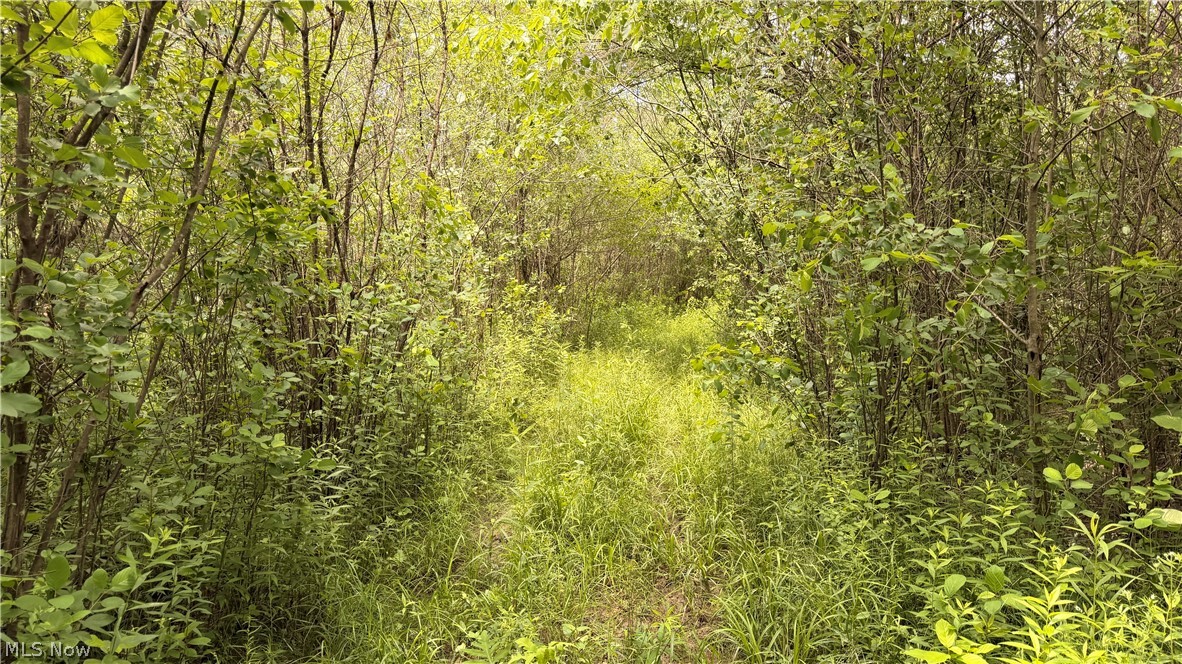 Leiby Osborne Road Southington OH 44470