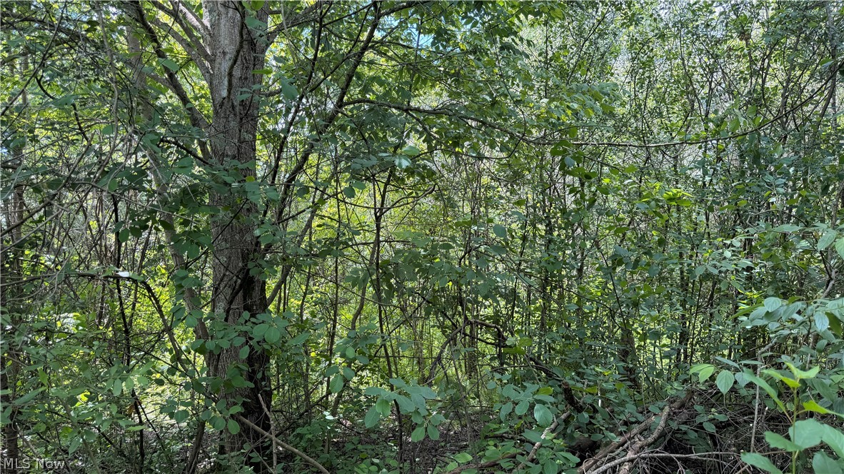 Leiby Osborne Road Southington OH 44470