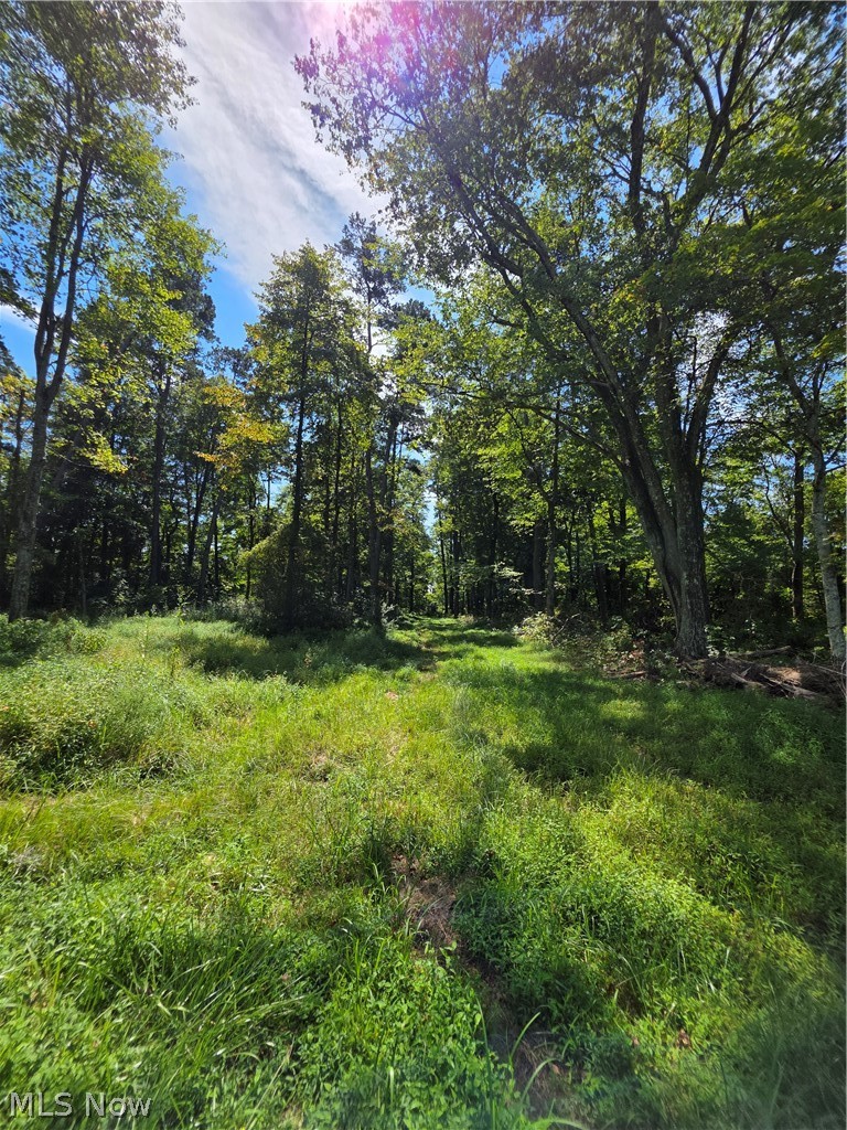 Brimstone Road Coolville OH 45732