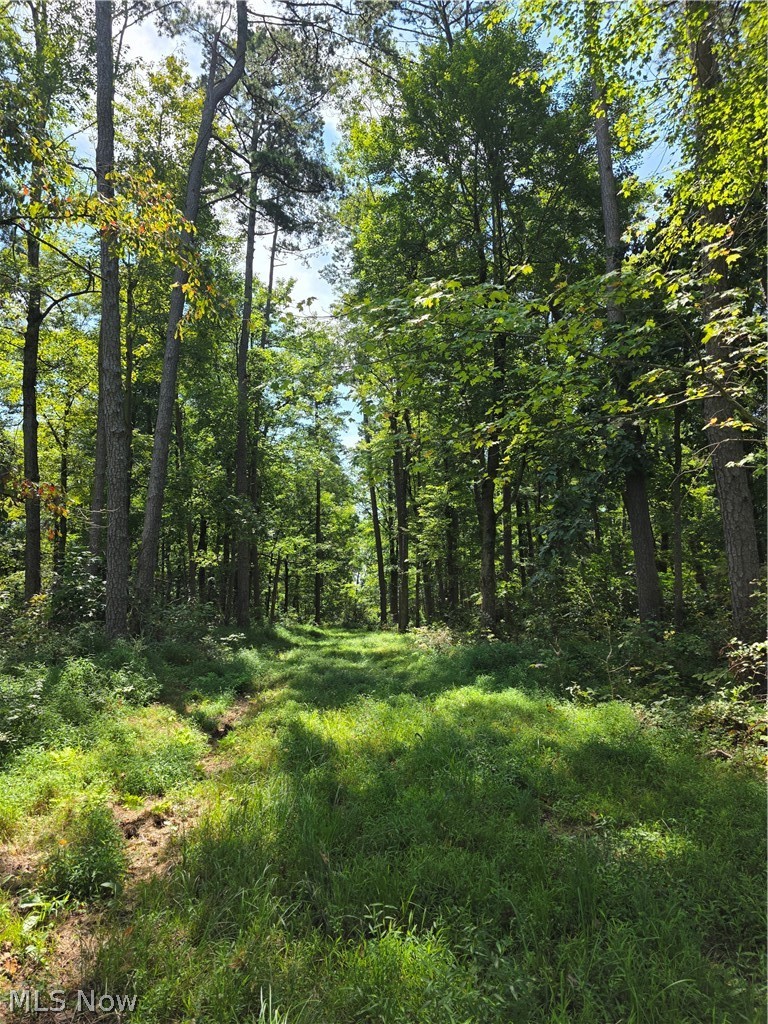 Brimstone Road Coolville OH 45732