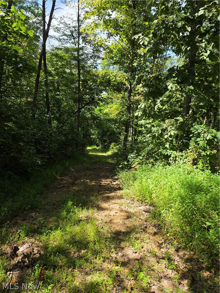 Brimstone Road Coolville OH 45732