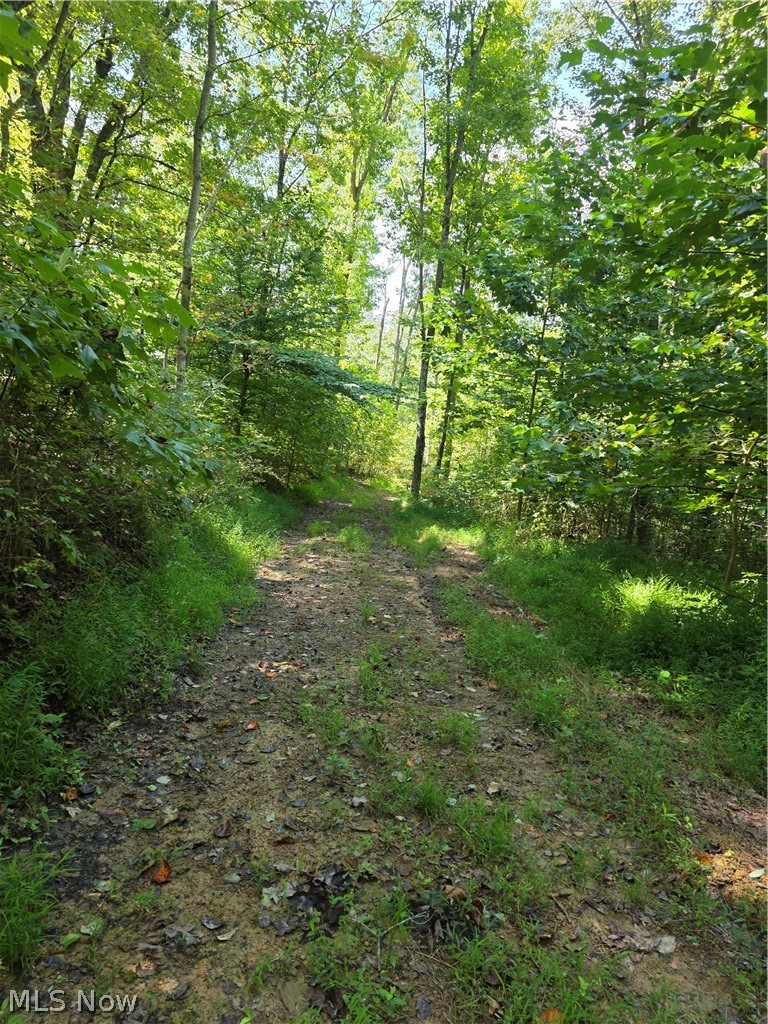 Brimstone Road Coolville OH 45732