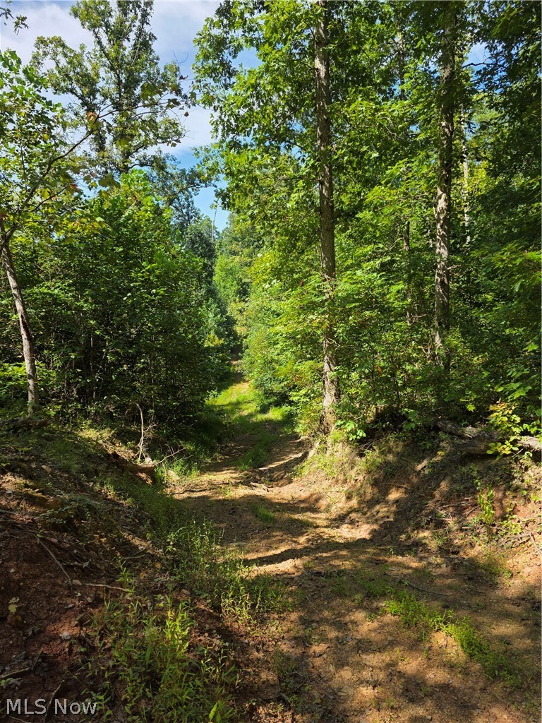 Brimstone Road Coolville OH 45732