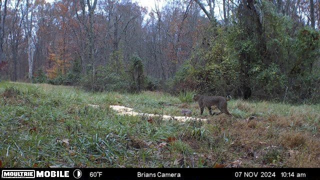 Brimstone Road Coolville OH 45732