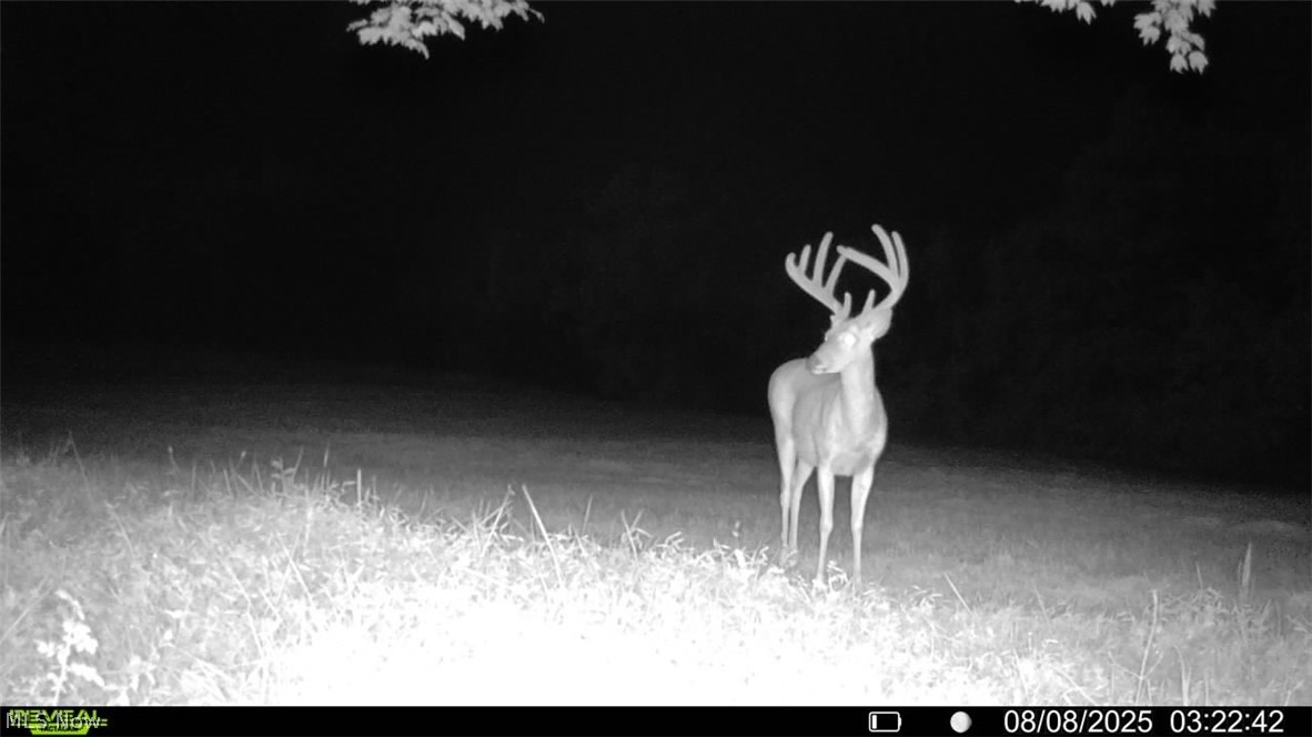 Brimstone Road Coolville OH 45732
