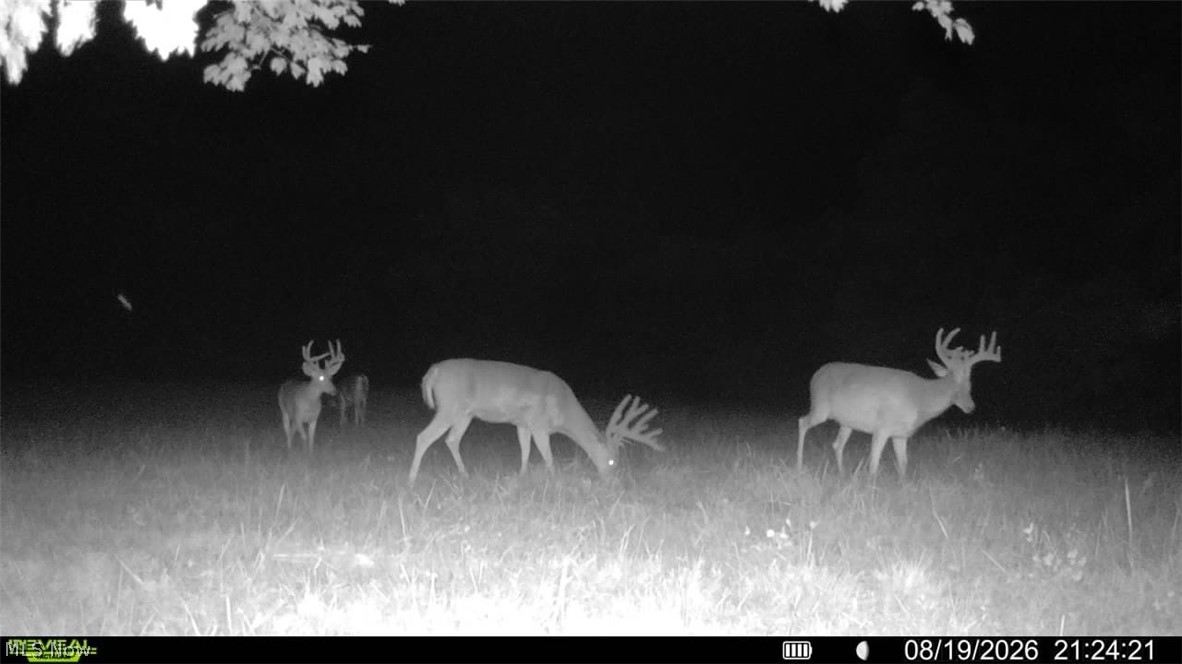 Brimstone Road Coolville OH 45732