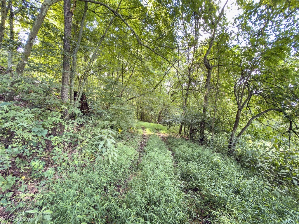 43532 Township Road 55 Coshocton OH 43812