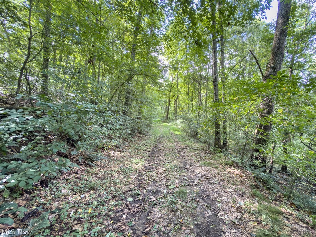 43532 Township Road 55 Coshocton OH 43812