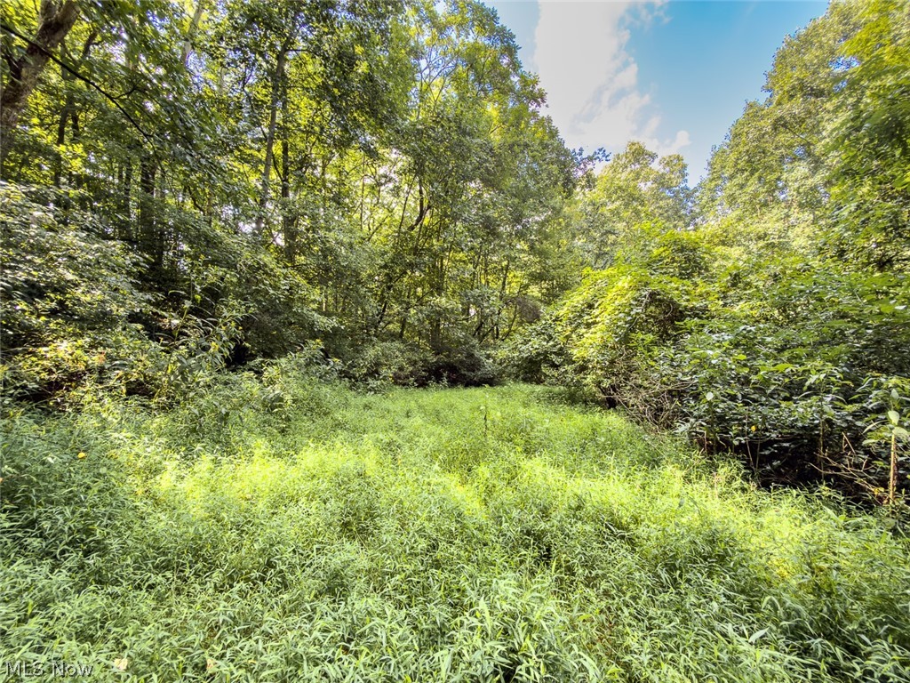 43532 Township Road 55 Coshocton OH 43812