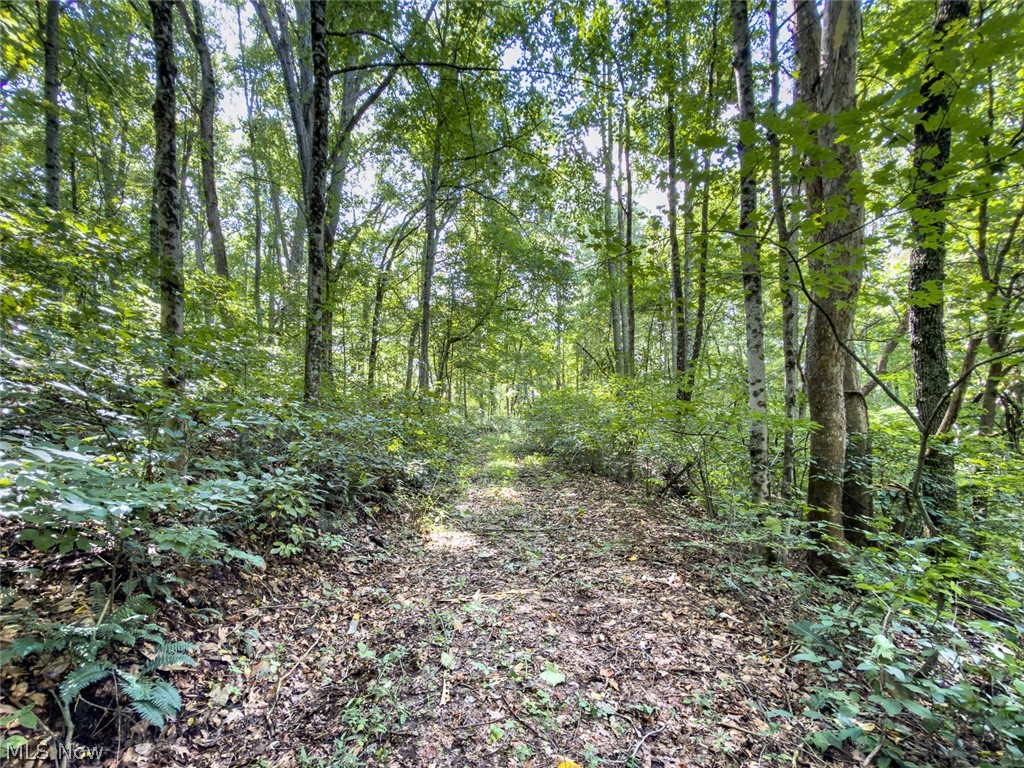 43532 Township Road 55 Coshocton OH 43812