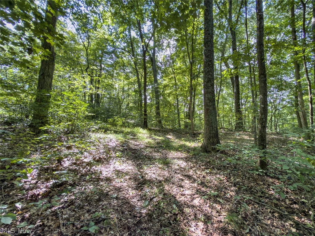 43532 Township Road 55 Coshocton OH 43812