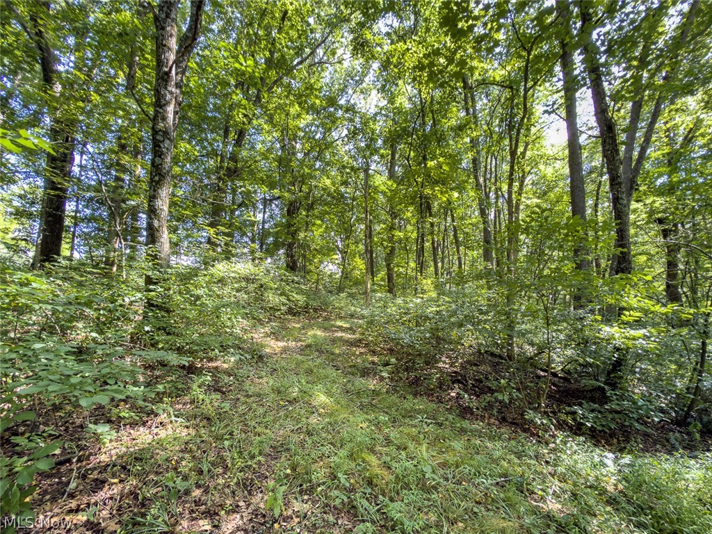 43532 Township Road 55 Coshocton OH 43812
