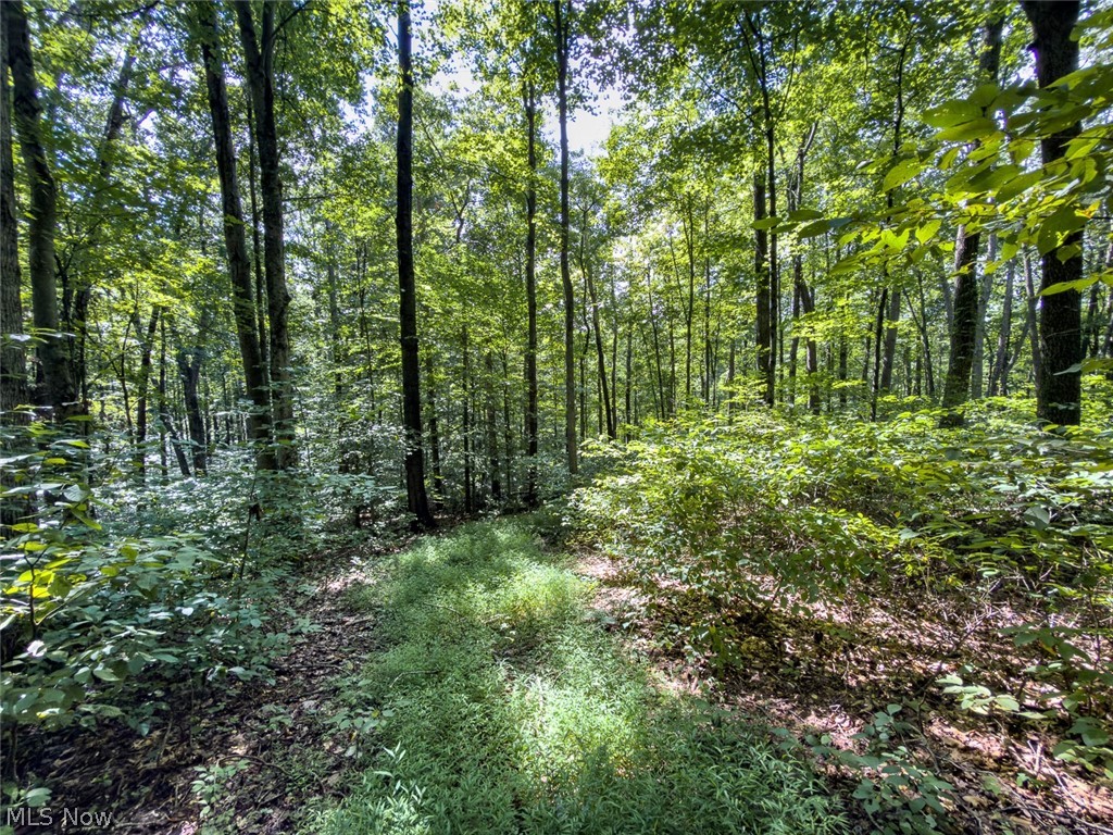 43532 Township Road 55 Coshocton OH 43812