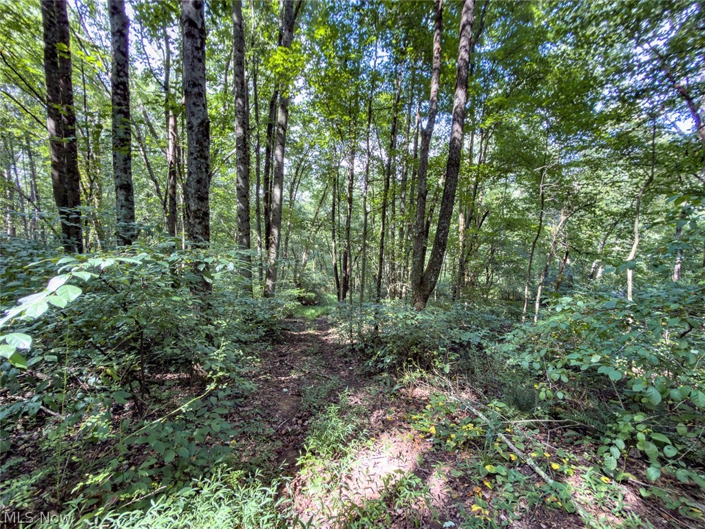 43532 Township Road 55 Coshocton OH 43812