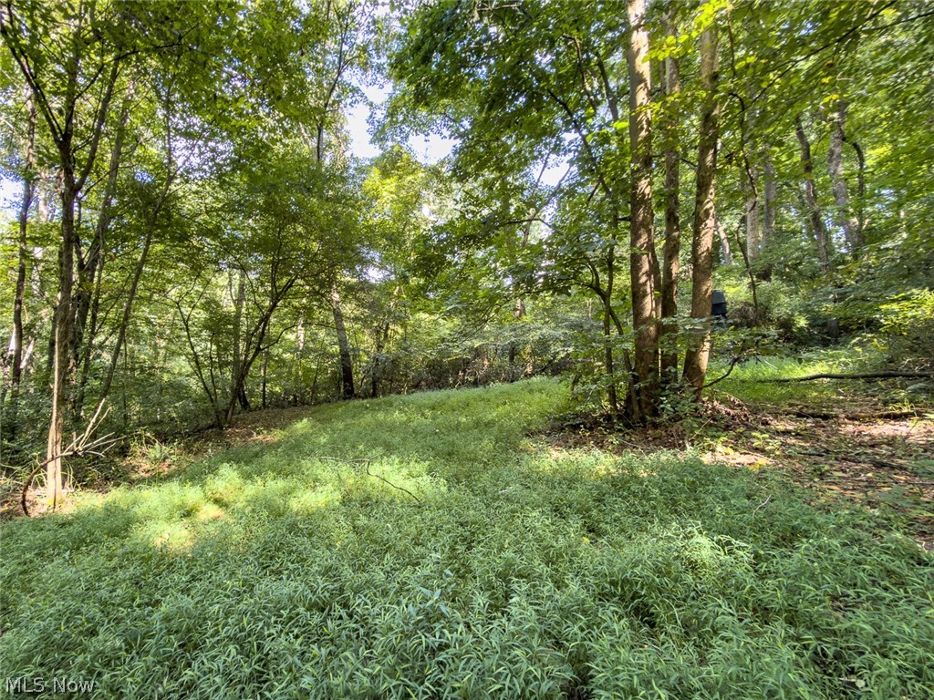 43532 Township Road 55 Coshocton OH 43812