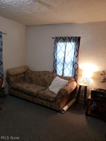 524 & 526 Gage Street Akron OH 44311