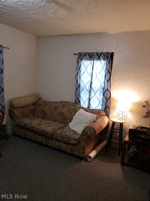 524 & 526 Gage Street Akron OH 44311