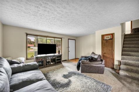 1167 Goodyear Park Boulevard Mogadore OH 44260