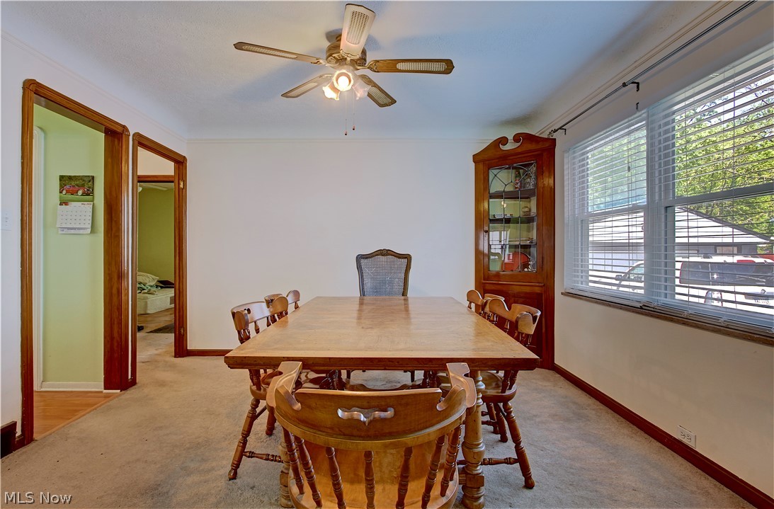 16912 Chatfield Avenue Cleveland OH 44111