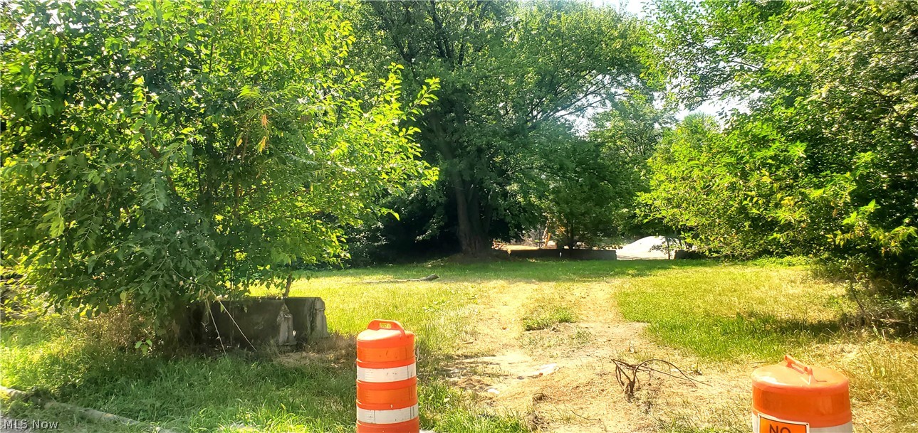 1713 E 69th Place Cleveland OH 44103