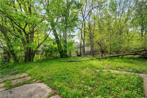 889 E 143rd Street Cleveland OH 44110