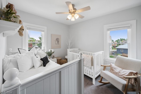 2067 Wascana Avenue Lakewood OH 44107