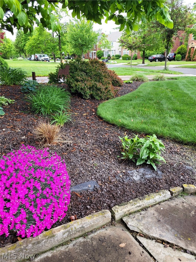 3646 Lynnfield Road Shaker Heights OH 44122