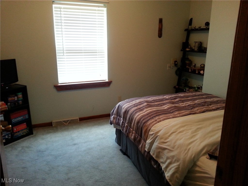 1088 Buena Vista Drive Akron OH 44319