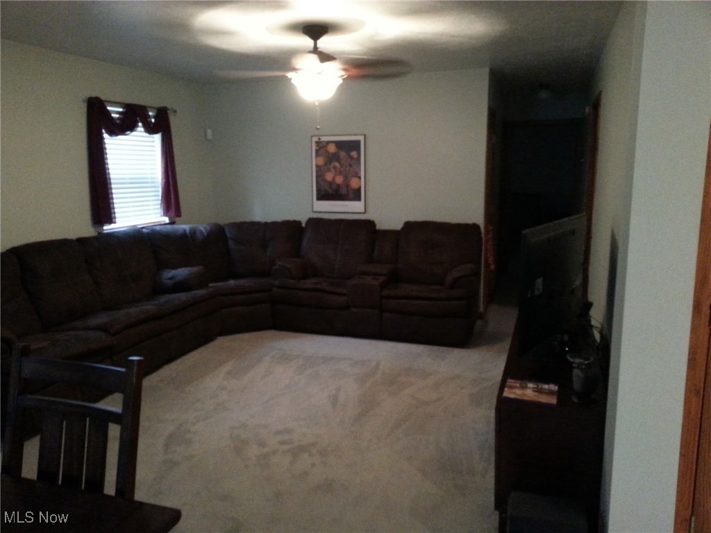 1088 Buena Vista Drive Akron OH 44319