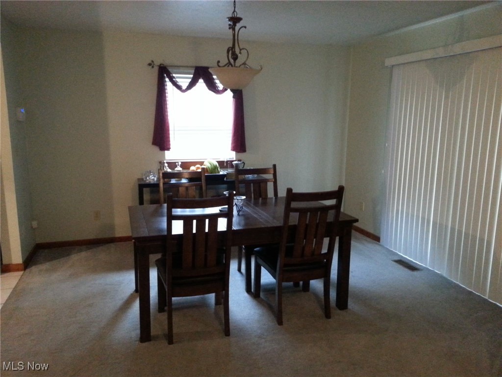 1088 Buena Vista Drive Akron OH 44319