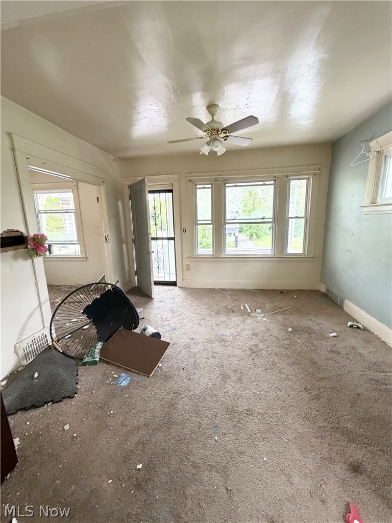 10309 Parkview Avenue Cleveland OH 44104