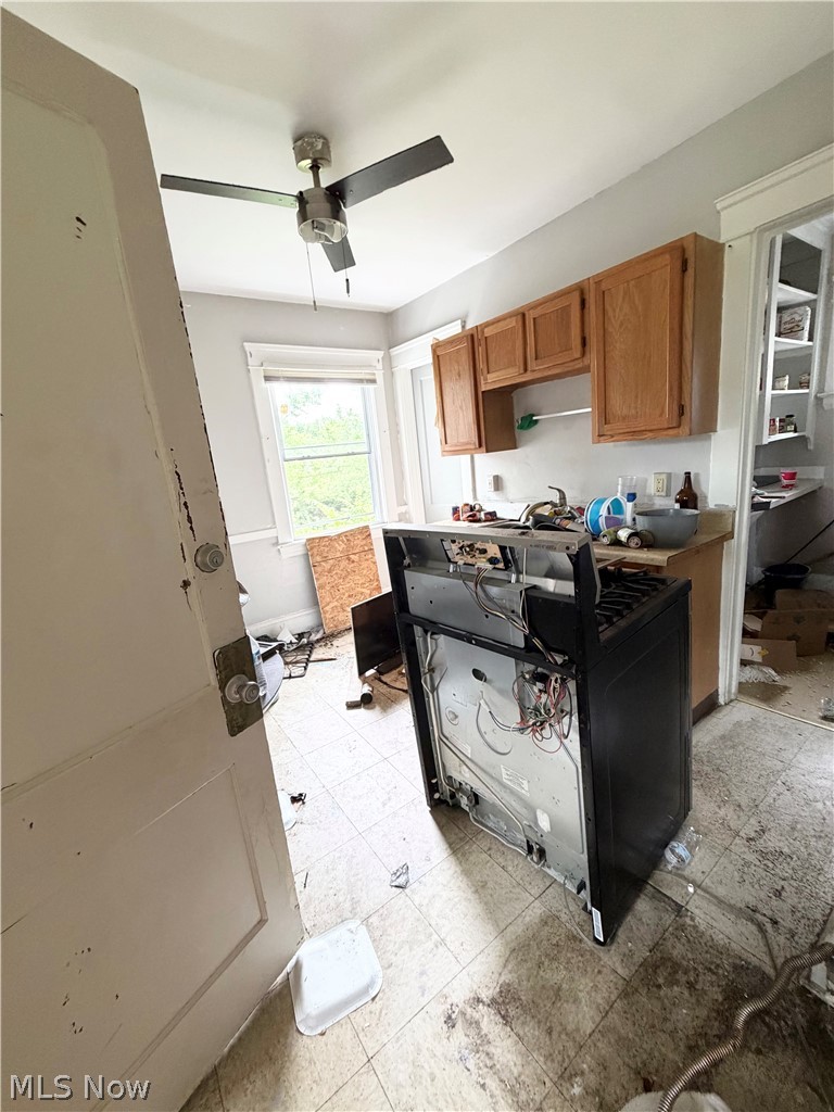 10309 Parkview Avenue Cleveland OH 44104