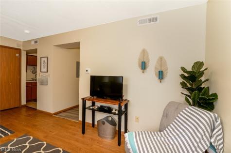 709 & 717 Carroll Street Akron OH 44304