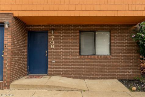 709 & 717 Carroll Street Akron OH 44304