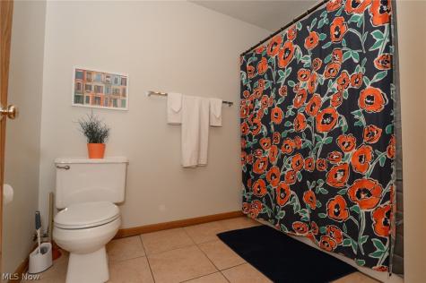709 & 717 Carroll Street Akron OH 44304