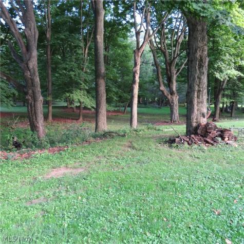 4100 Marihill Drive SE Minerva OH 44657