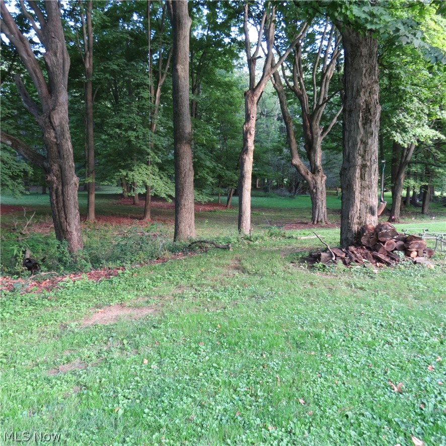 4100 Marihill Drive SE Minerva OH 44657