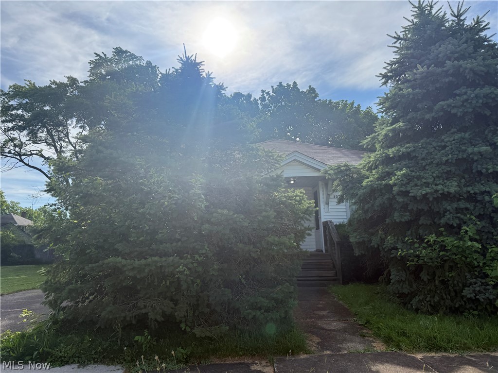 407 Sheridan Avenue Niles OH 44446