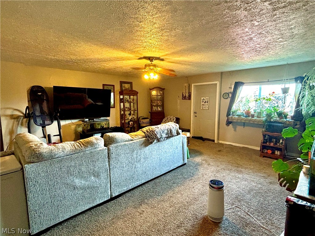 6119 Youngstown Conneaut Road Kinsman OH 44428